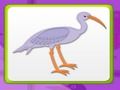 Spel Geheugen voor kinderen met vogels  online