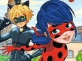 Spel LadyBug-verschillen  online