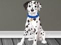 Spel Veterinaire arts Escape 2  online