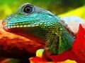 Spel Chinese waterdragon Jigsaw online