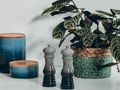 Spel Zoek de verschillen Detective  online