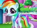 Spel Vraag me af met ponykleur online