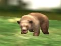 Spel Safari dierenjager online Spel Safari dierenjager online