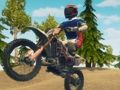 Spel Crossmotor Enduro Racing  online