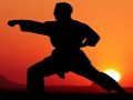 Spel Karate Sunset Warriors online