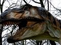 Spel T-Rex dinosaurus puzzel  online
