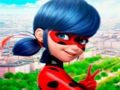 Spel Lieveheersbeestje Jigsaw Puzzle Collection  online
