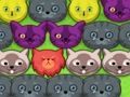 Spel Pop-pop poesjes  online