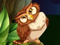 Spel Uil Shooter  online