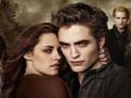Spel Twilight Jigsaw Puzzle Collection online