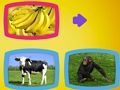 Spel Wat eten dieren?  online