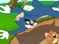 Spel Tom en Jerry in samenwerking  online