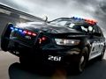 Spel Politie auto's kleuren  online
