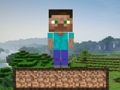 Spel Minecraft-overleving  online
