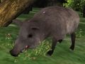 Spel Jigsaw op zwijnenjacht online Spel Jigsaw op zwijnenjacht online