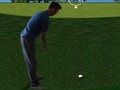 Spel Flash Golf 3D  online