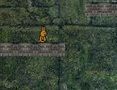 Spel Bunny Adventure  online