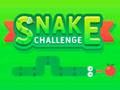 Spel Snake-uitdaging  online