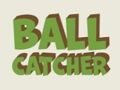 Spel Ballenvanger  online