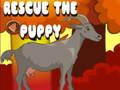Spel Red de puppy  online