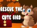 Spel Red de schattige vogel  online