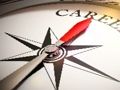 Spel Kompas Richting Puzzel  online
