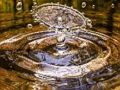 Spel Waterspattende puzzel  online