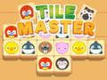 Spel Tegel Master Match  online
