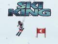 Spel Skibit online