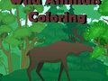 Spel Wilde dieren kleuren  online