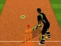 Spel Cricket Beslag Uitdaging  online