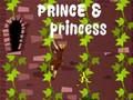 Spel Prins & prinses: kuszoektocht  online