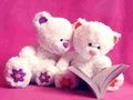 Spel Leuke teddyberen glijbaan  online