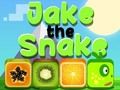 Spel Jake de slang  online
