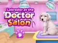 Spel Labrador bij de dokter salon  online