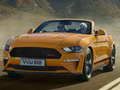 Spel Ford Mustang California speciale glijbaan  online
