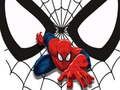 Spel Spiderman-wedstrijdkaarten  online