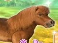 Spel Mijn lieve pony  online
