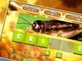 Spel Scrambled woord voor kinderen  online