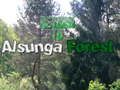 Spel Keer terug naar het Alsunga-bos  online