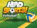 Spel Head Sports Volleybal  online