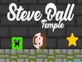 Spel Steve Ball-tempel  online