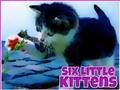 Spel Zes kleine kittens  online