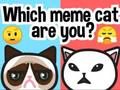 Spel Welke Meme-kat ben jij?  online