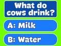 Spel Trivia Beste familiequiz online Spel Trivia Beste familiequiz online