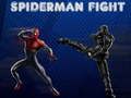 Spel Spiderman-gevecht online Spel Spiderman-gevecht online