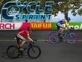 Spel Cyclussprint online Spel Cyclussprint online