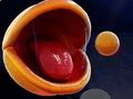 Spel Pac-Man 3D online
