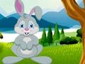 Spel Konijn Kitten Ontsnapping  online