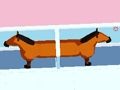 Spel Echtscheiding paard  online